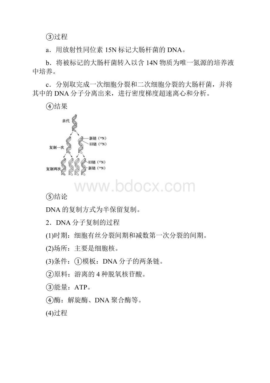 苏教版生物必修2 第4章 第2节 第2课时 DNA分子的复制.docx_第2页