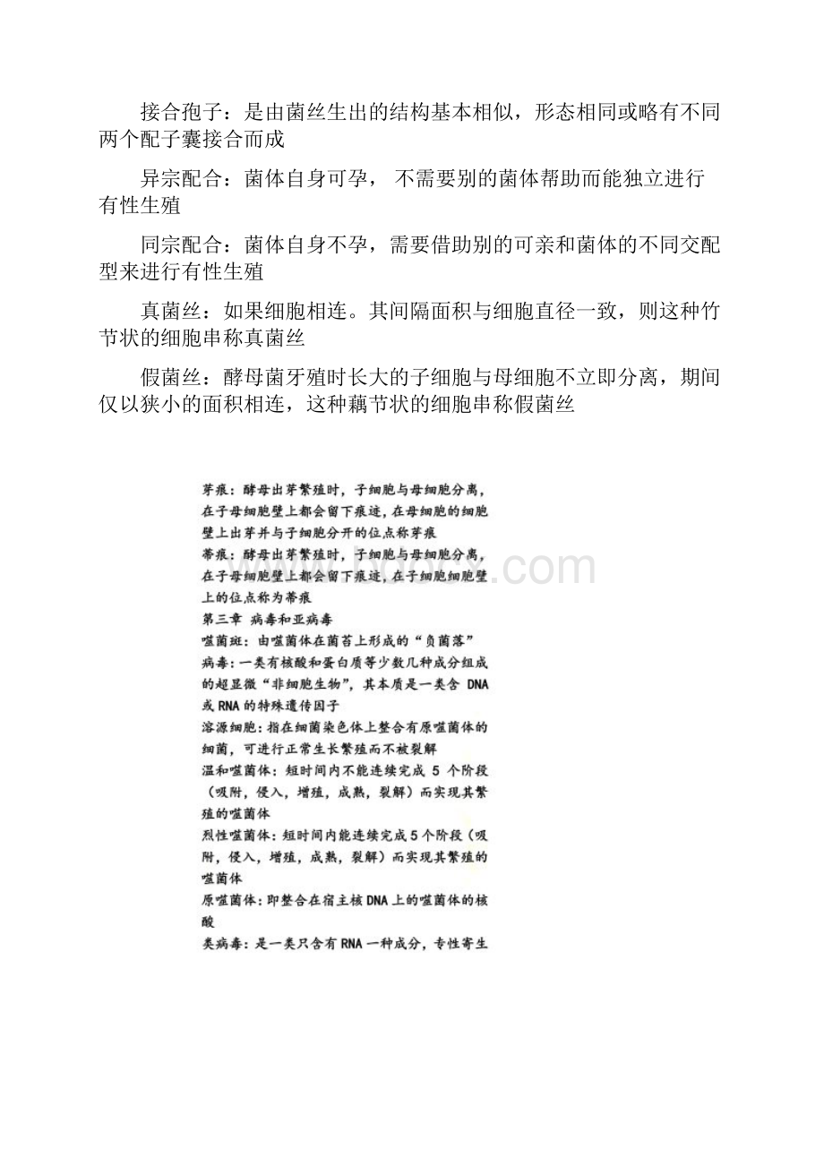 名词解释答案.docx_第2页