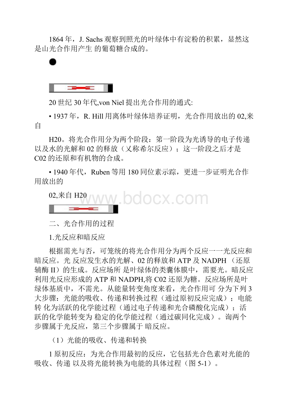 奥赛专题光合作用.docx_第3页