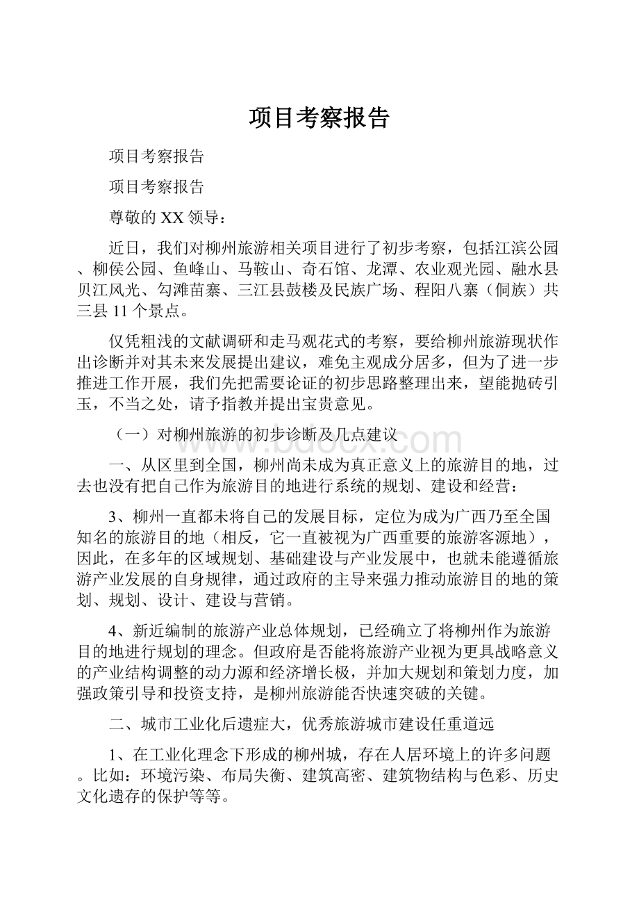 项目考察报告.docx_第1页