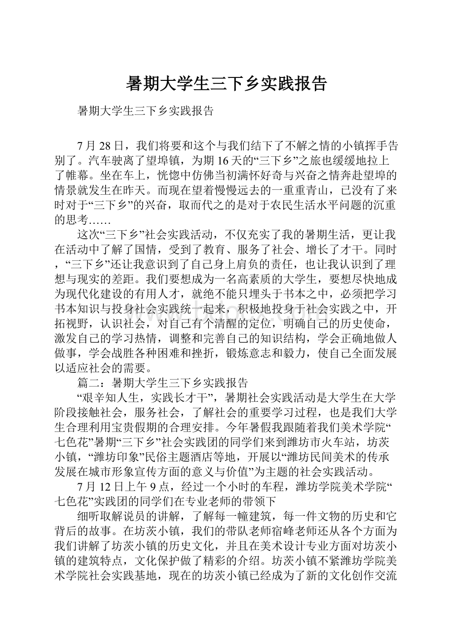 暑期大学生三下乡实践报告.docx_第1页