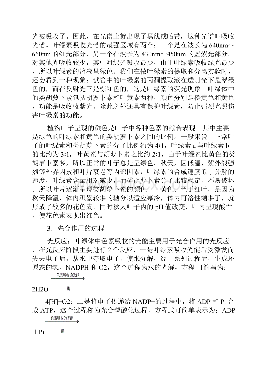 高三专题5光合呼吸碳循环能量流动.docx_第2页