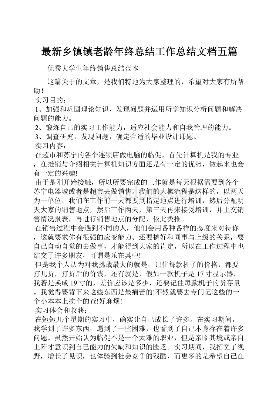 最新乡镇镇老龄年终总结工作总结文档五篇.docx