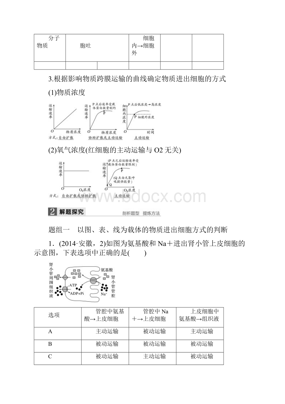 高考生物第一轮知识点突破复习教案4物质进出细胞的方式.docx_第3页