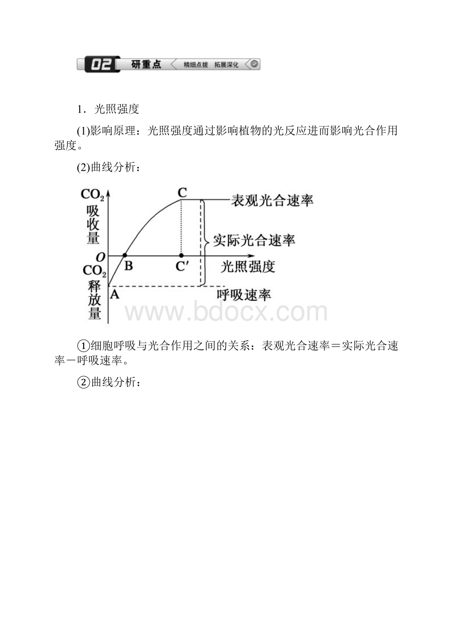 人教版高三生物大一轮总复习第11讲能量之源光与光合作用二.docx_第2页