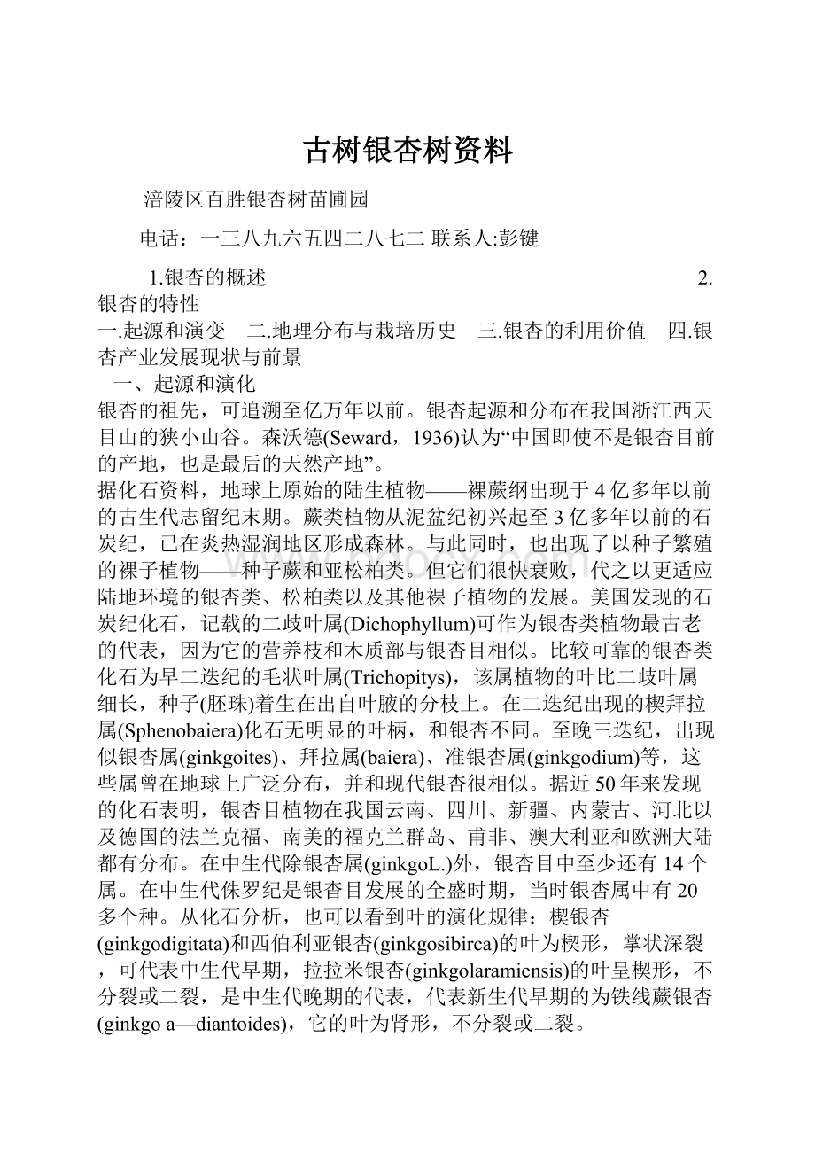 古树银杏树资料.docx_第1页