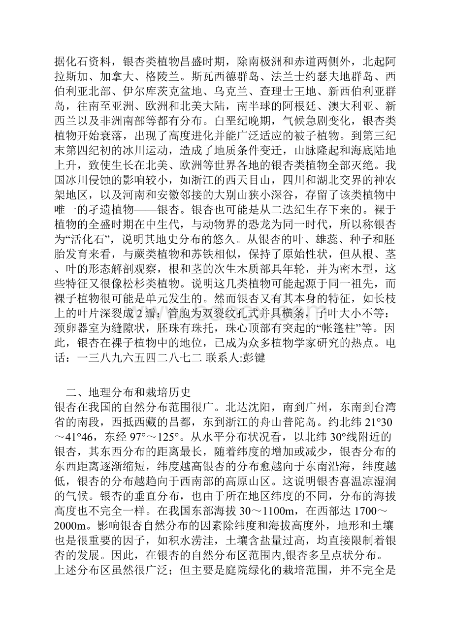 古树银杏树资料.docx_第2页