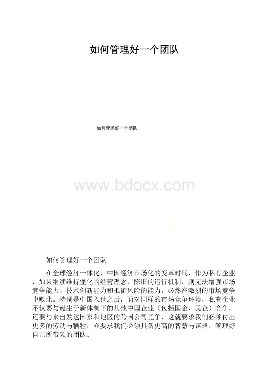 如何管理好一个团队.docx