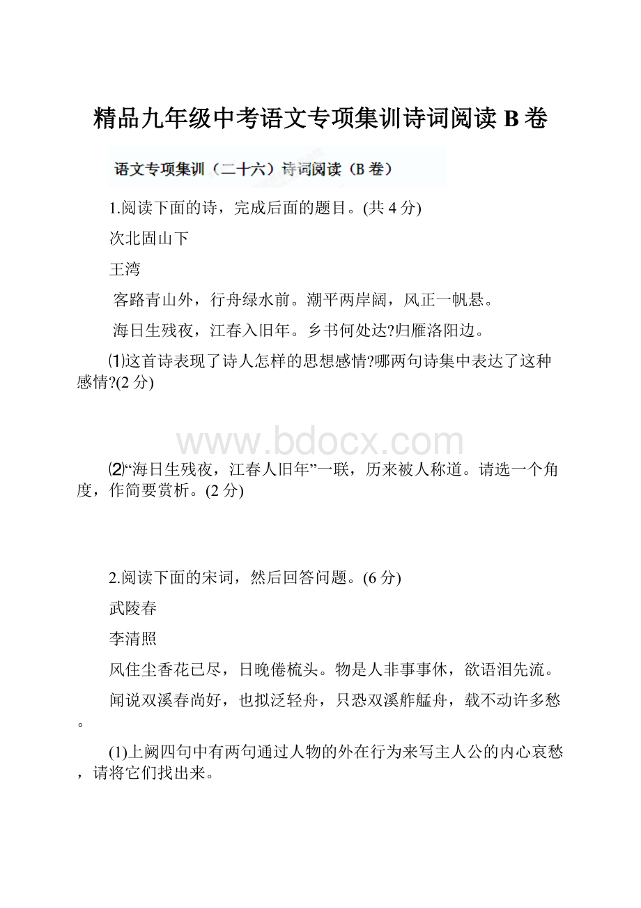 精品九年级中考语文专项集训诗词阅读B卷.docx