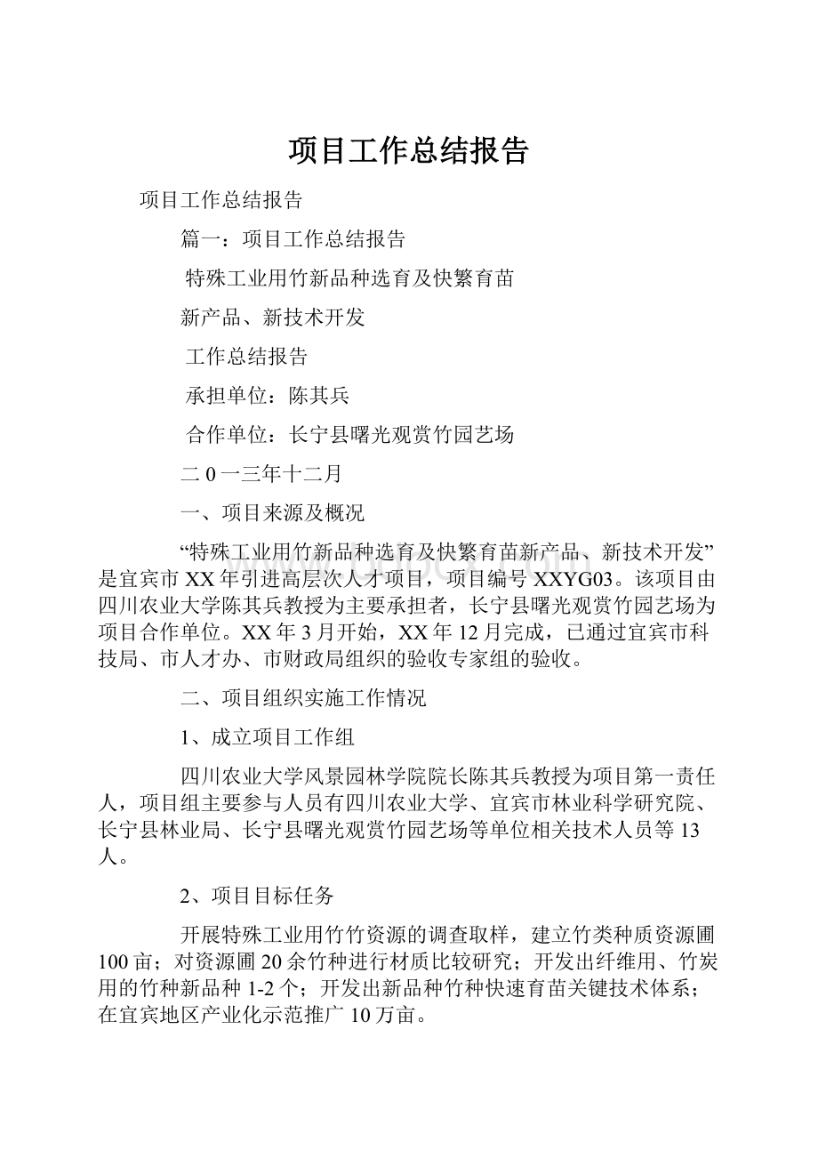 项目工作总结报告.docx