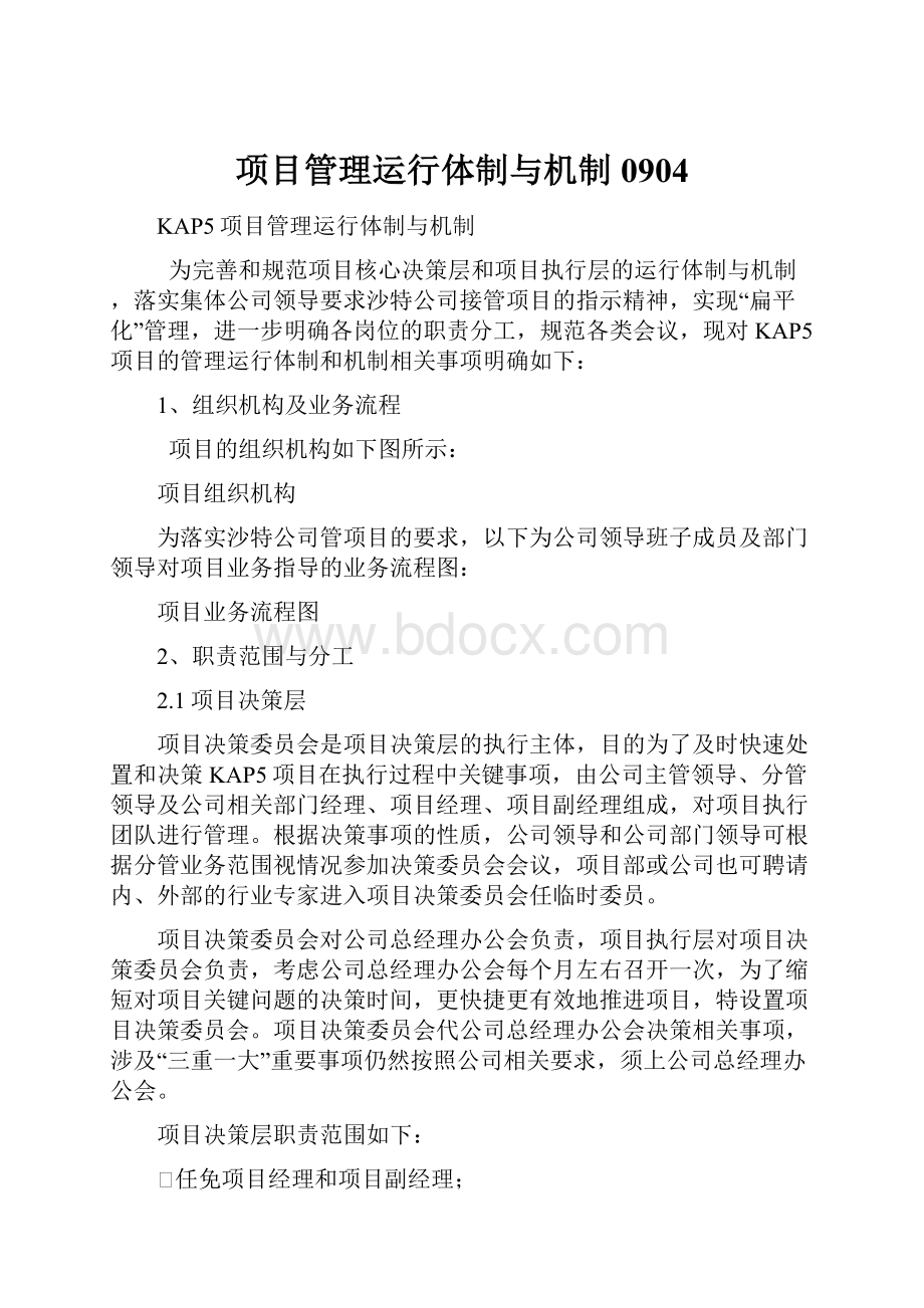 项目管理运行体制与机制0904.docx