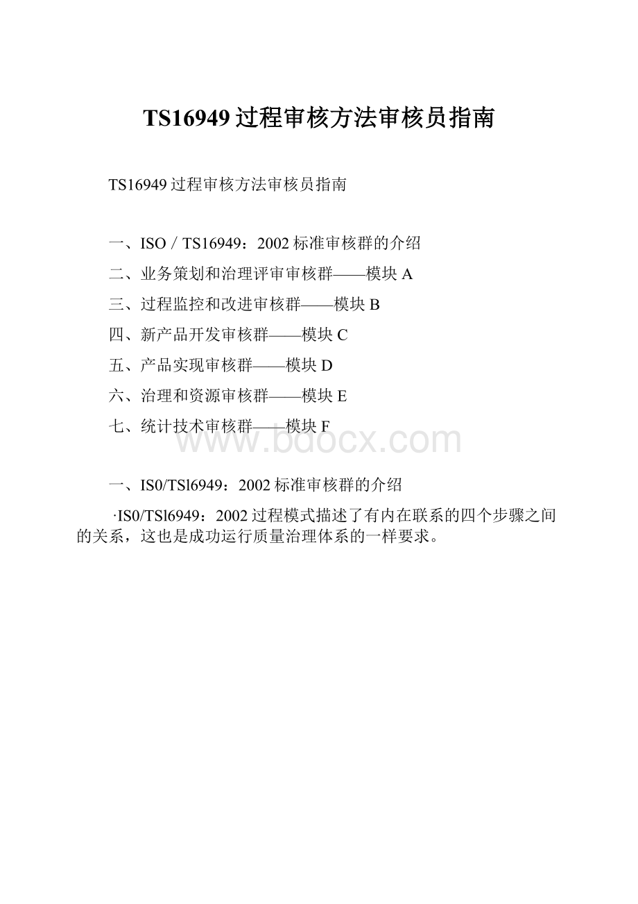 TS16949过程审核方法审核员指南.docx