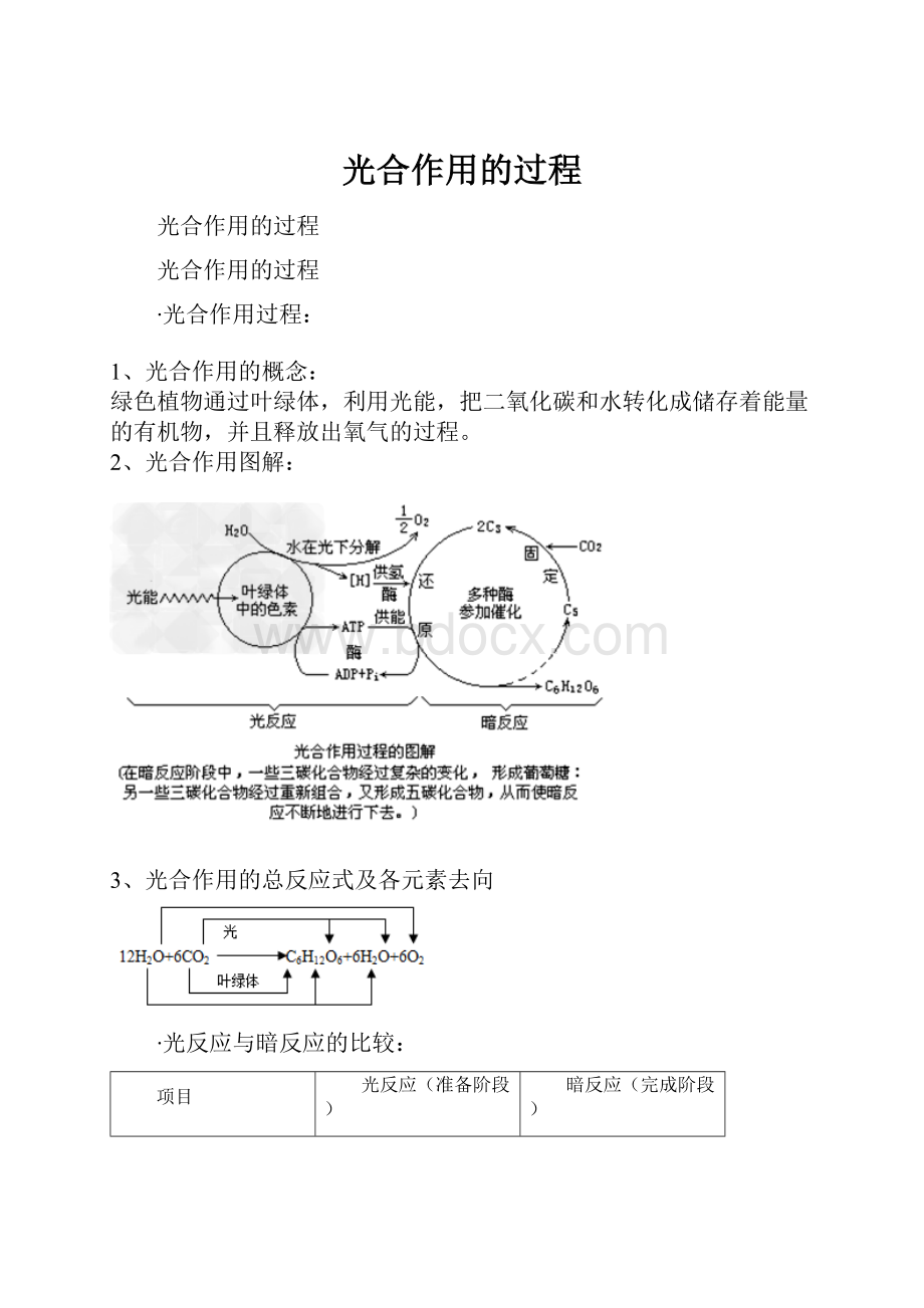 光合作用的过程.docx_第1页