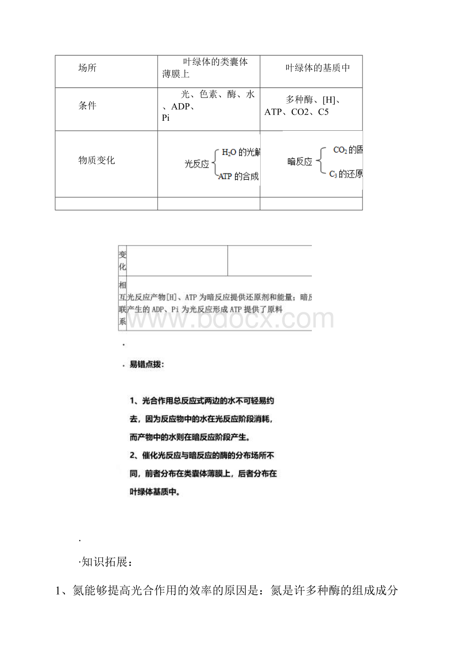 光合作用的过程.docx_第2页