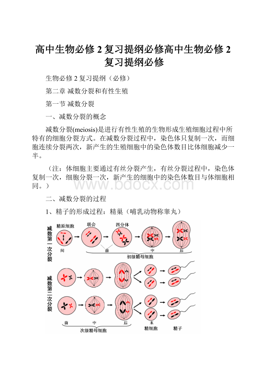 高中生物必修2复习提纲必修高中生物必修2复习提纲必修.docx_第1页