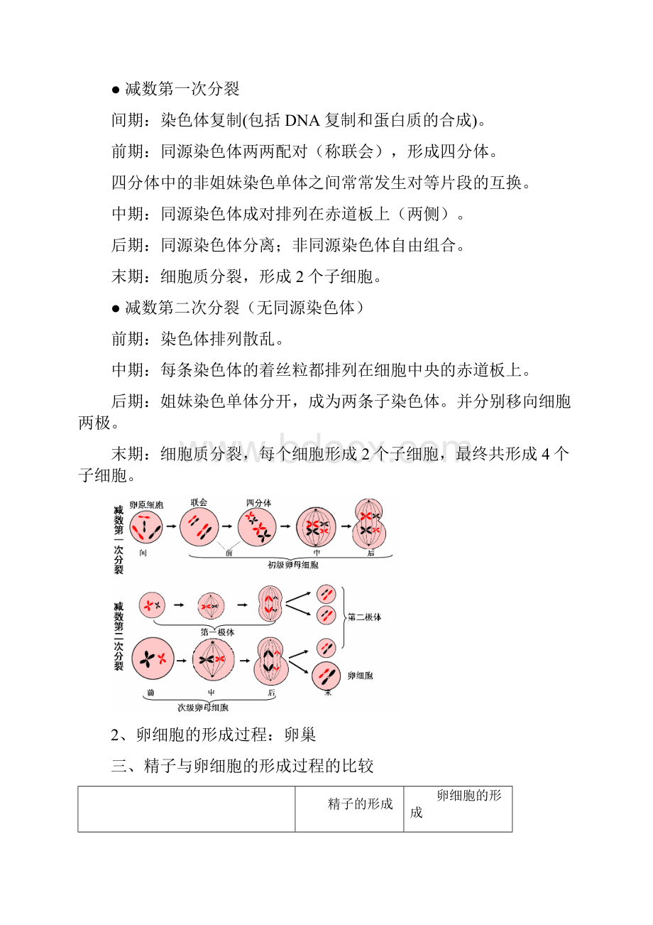 高中生物必修2复习提纲必修高中生物必修2复习提纲必修.docx_第2页