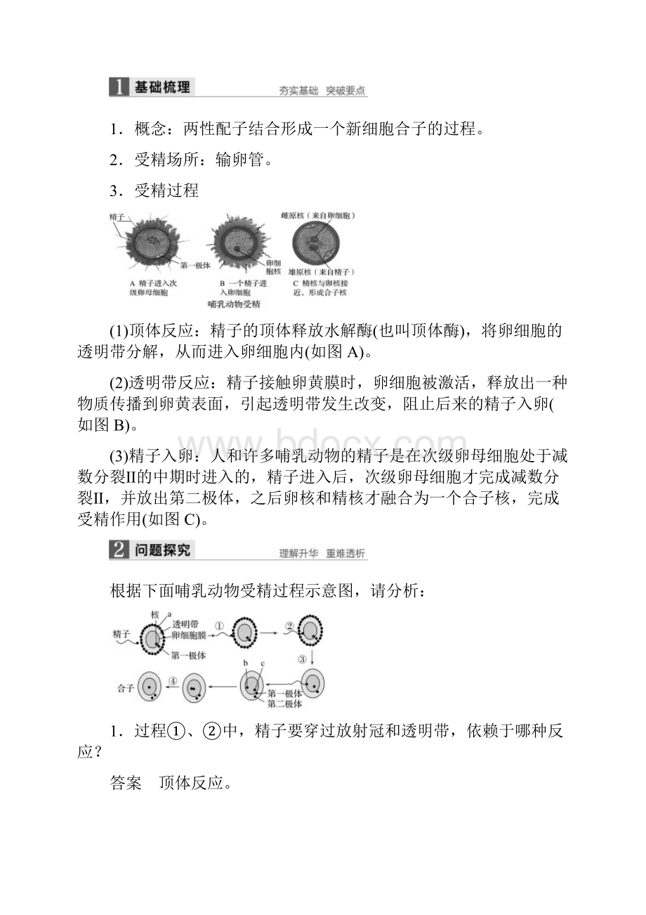 学年高中生物 第2章 胚胎工程 第1节 胚胎工程的理论基础 第2课时 胚胎的发育同.docx_第2页