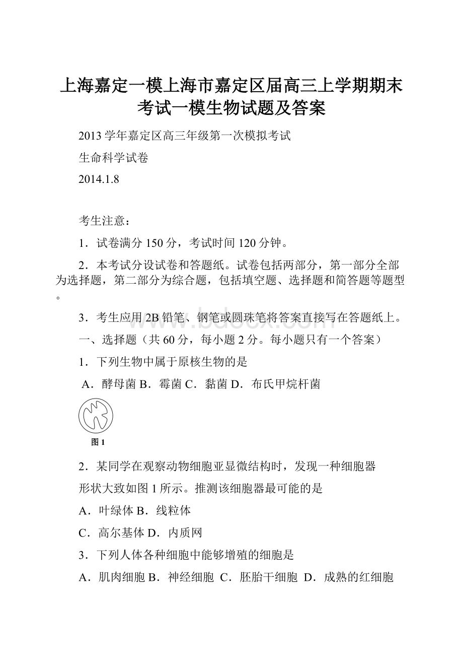 上海嘉定一模上海市嘉定区届高三上学期期末考试一模生物试题及答案.docx_第1页