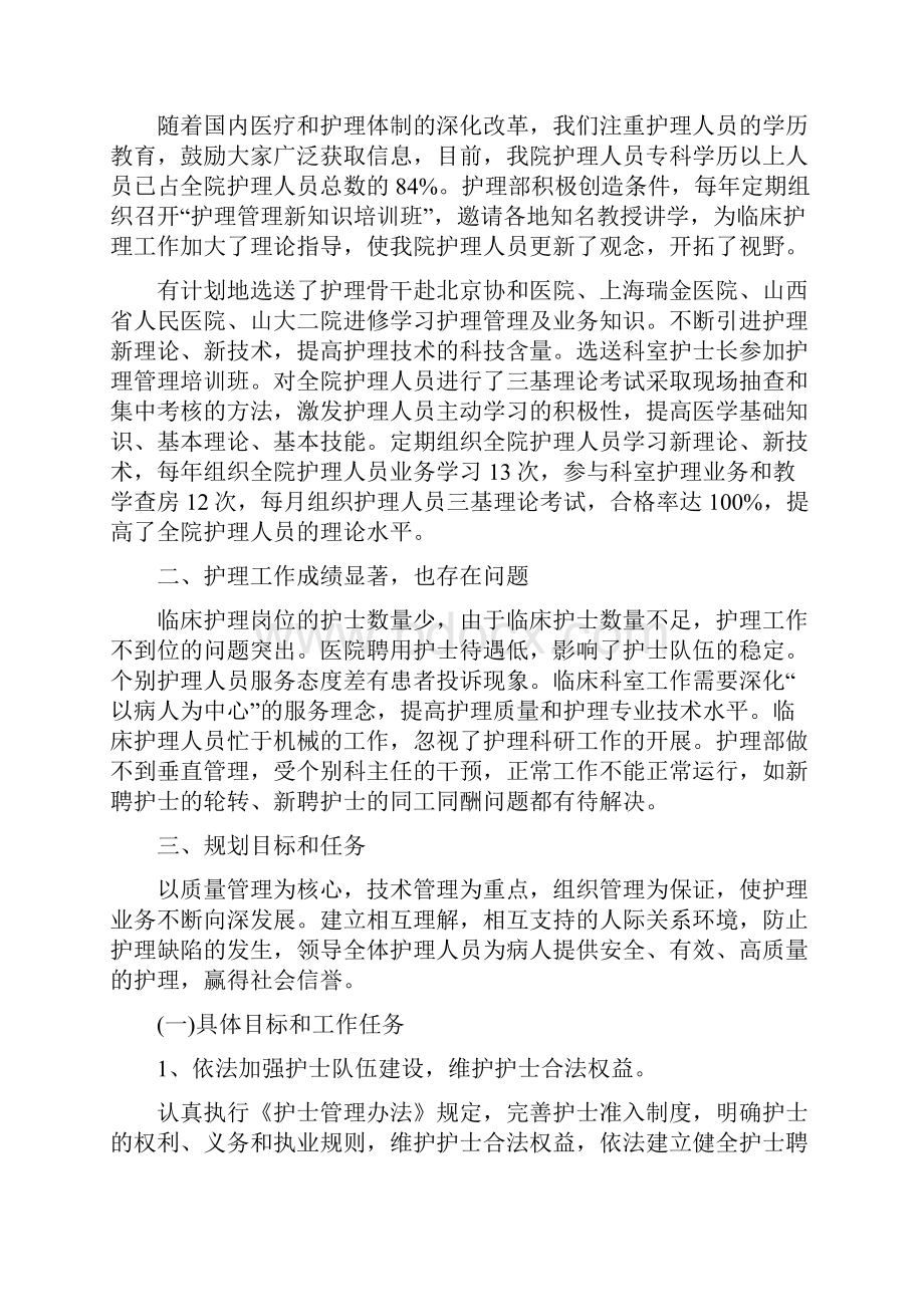 护理年度工作计划.docx_第2页