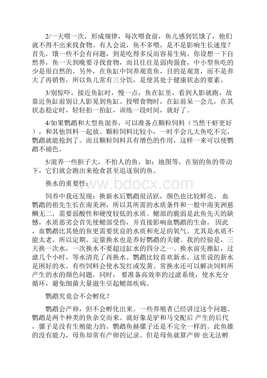 鹦鹉鱼饲养方法.docx_第3页