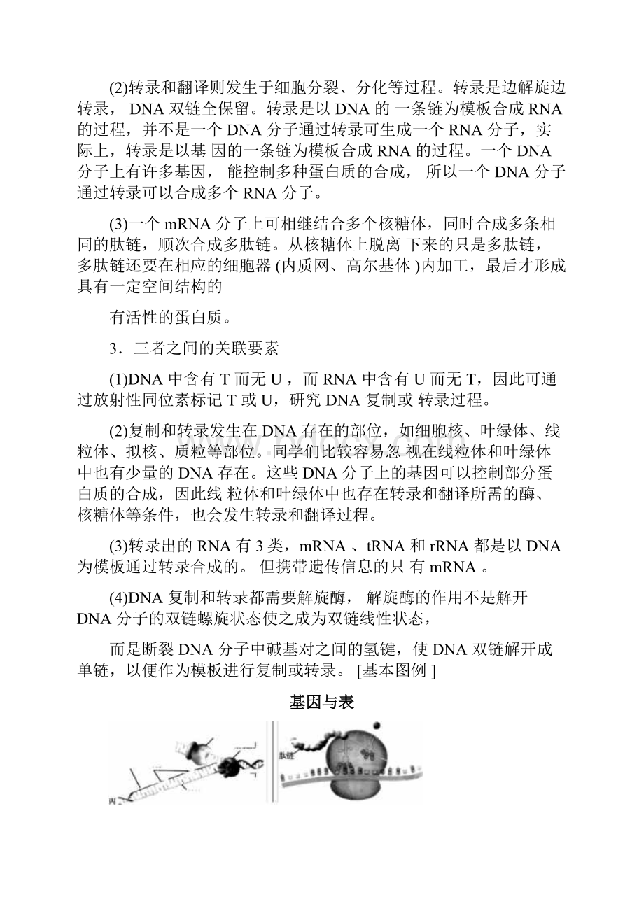 DNA复制转录与翻译重要知识汇总.docx_第2页