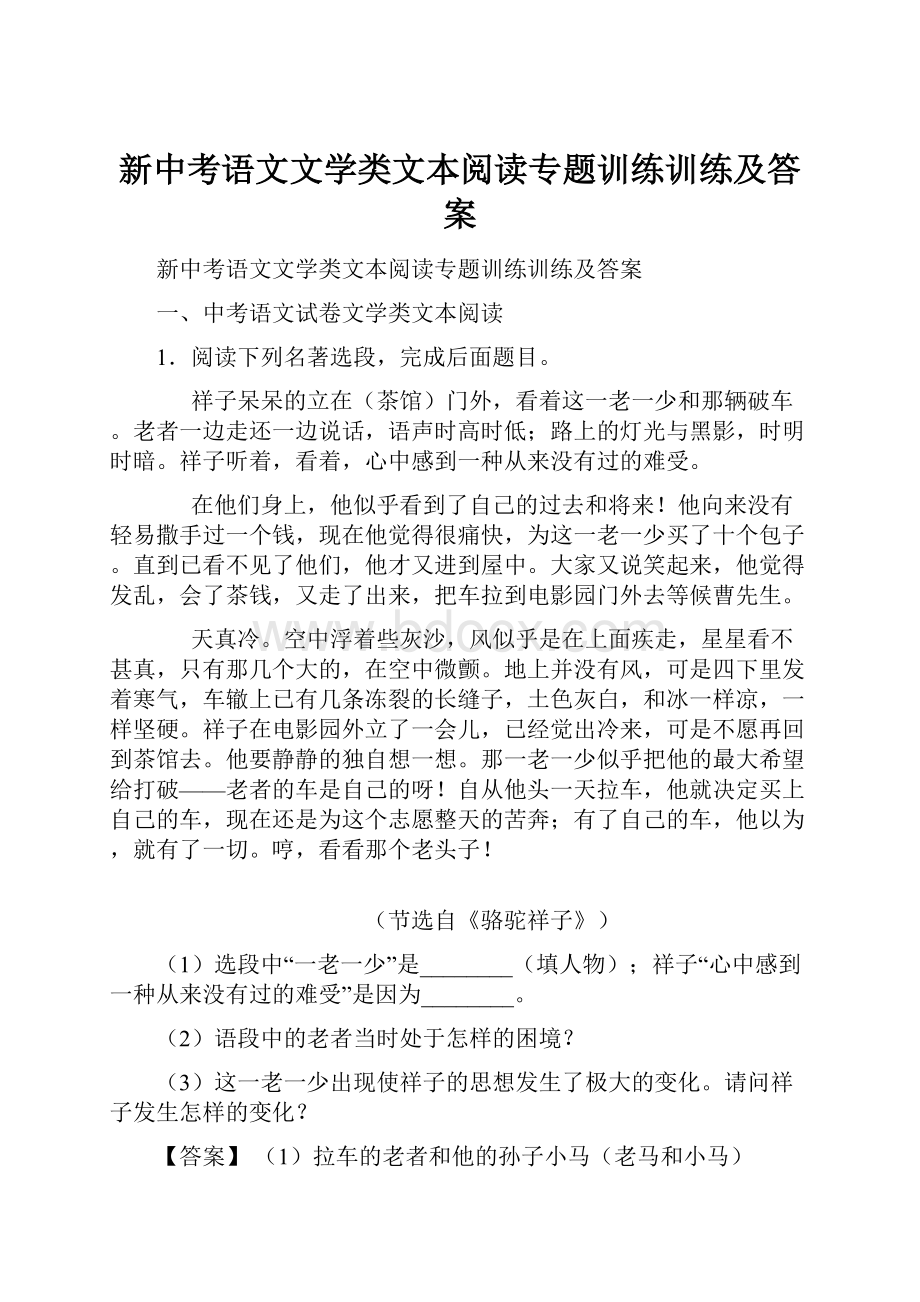 新中考语文文学类文本阅读专题训练训练及答案.docx