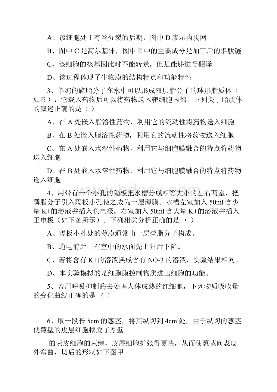 河南省三门峡市届高三上学期调研考试生物试题.docx_第2页