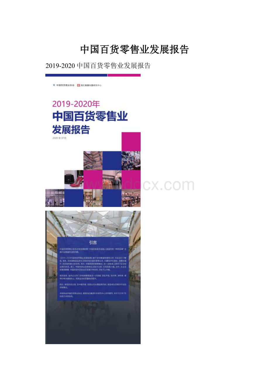 中国百货零售业发展报告.docx