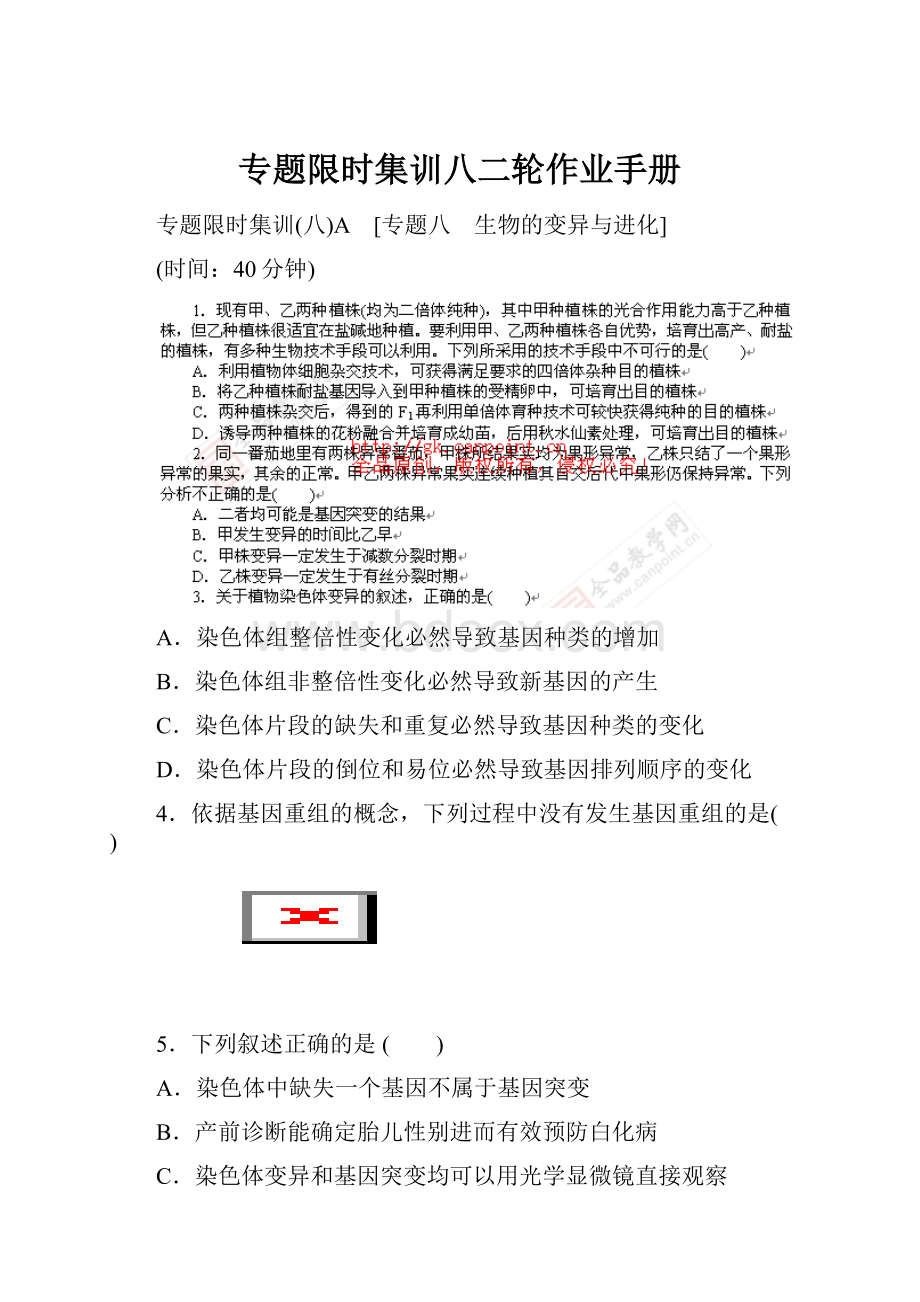 专题限时集训八二轮作业手册.docx