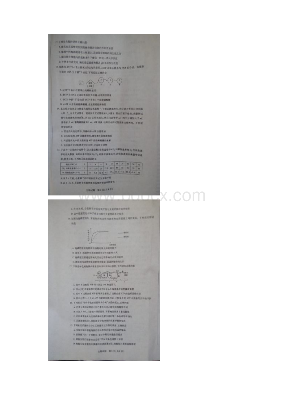 学年河南省焦作市高一上学期期末统考生物试题.docx_第3页