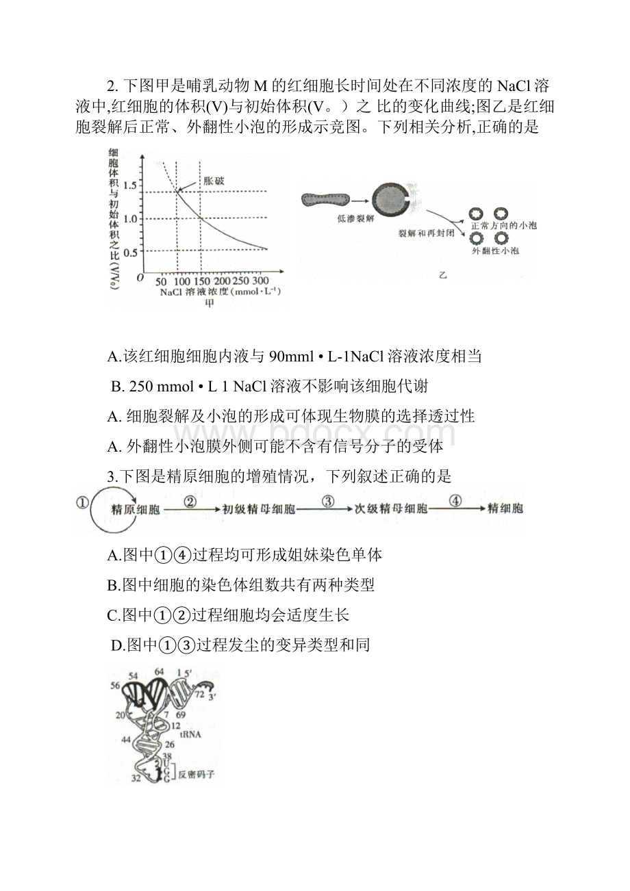 理综卷届河北省邯郸市高三第二次模拟考试04word版.docx_第2页