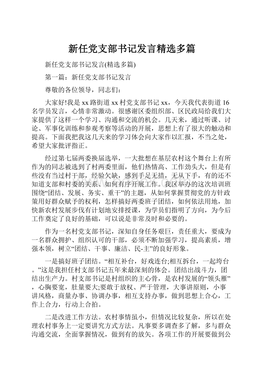 新任党支部书记发言精选多篇.docx_第1页