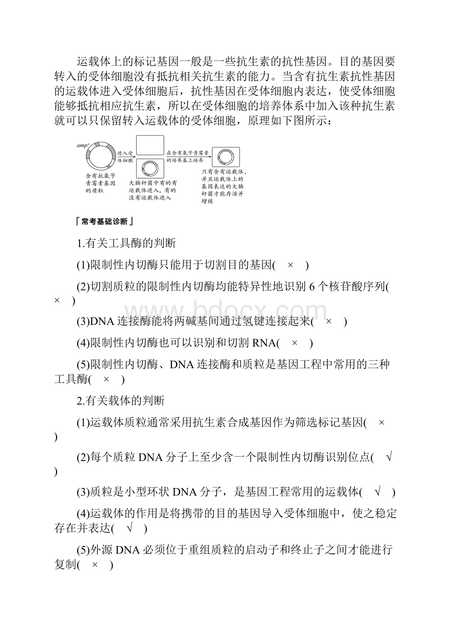 版生物高考大一轮复习第十单元现代生物科技专题第36讲基因工程与生物技术的安全性和伦理问题学案.docx_第3页