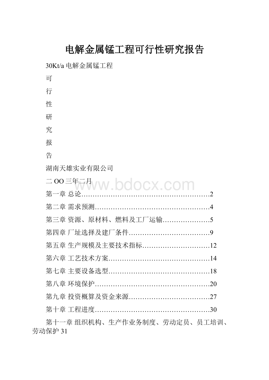 电解金属锰工程可行性研究报告.docx_第1页