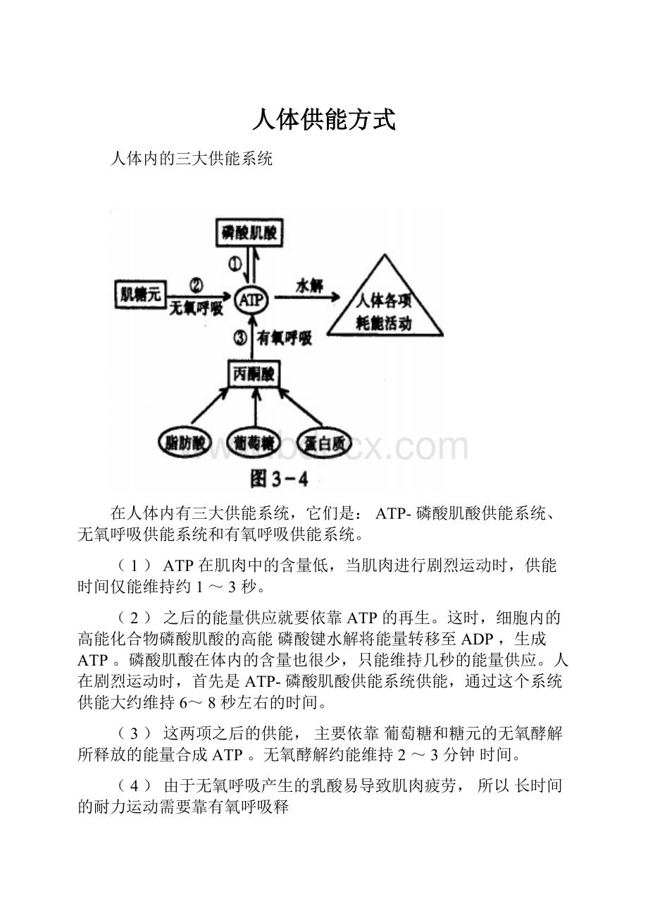 人体供能方式.docx_第1页