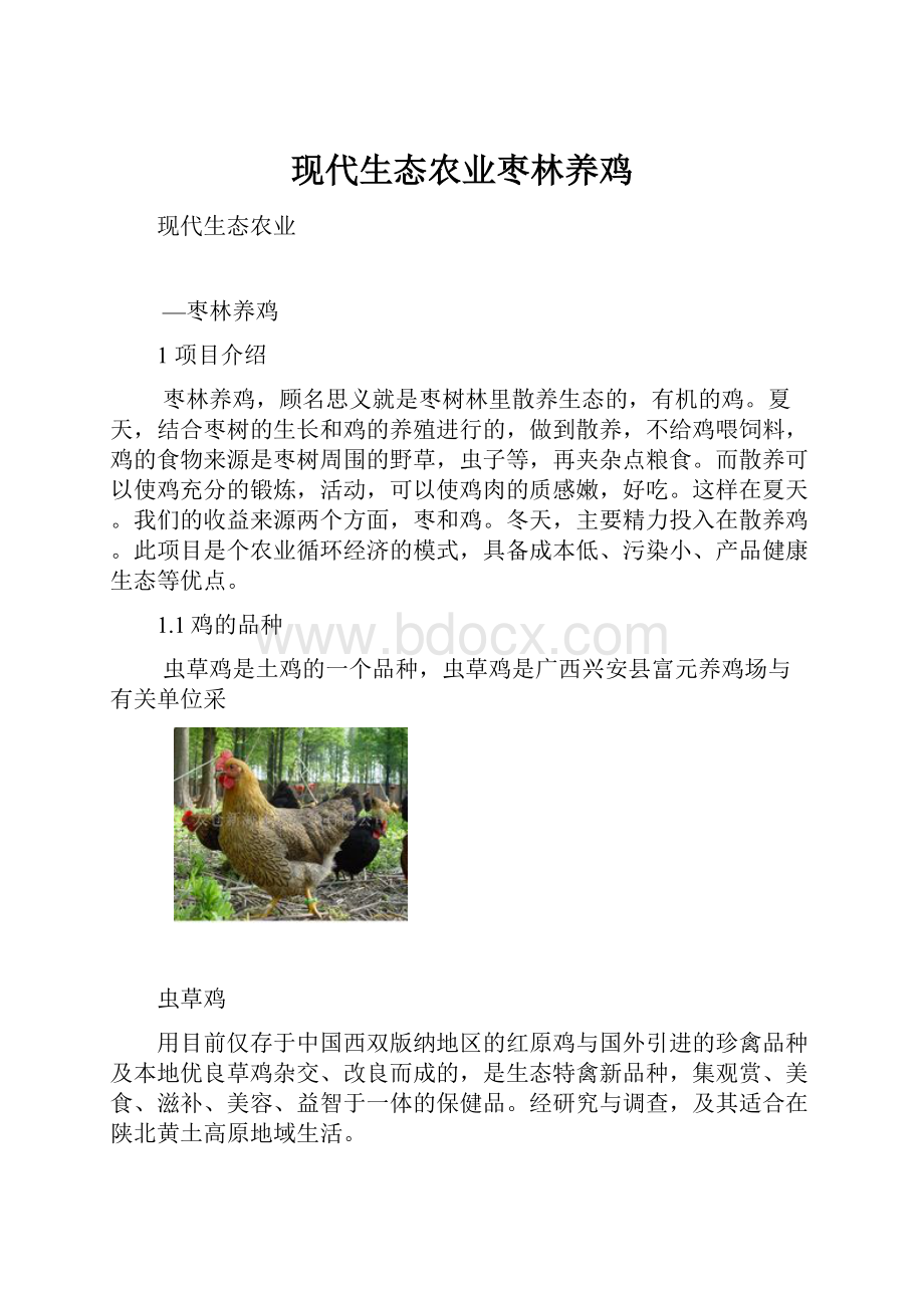 现代生态农业枣林养鸡.docx