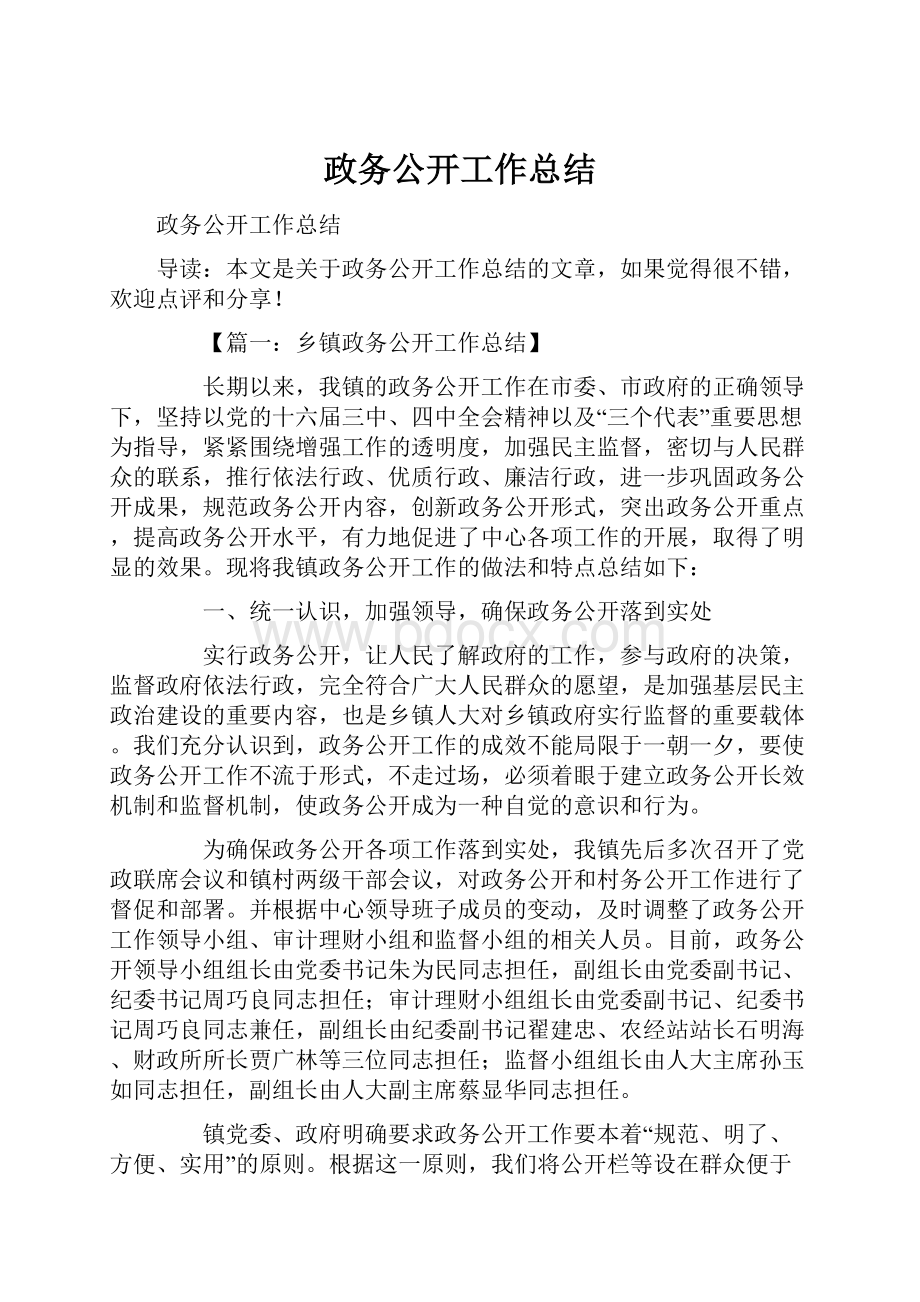 政务公开工作总结.docx