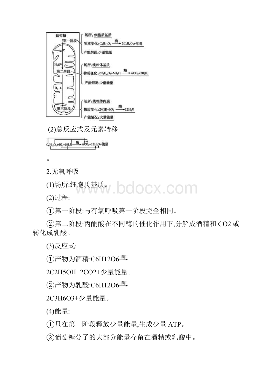 届 一轮复习人教版 细胞呼吸 学案.docx_第2页