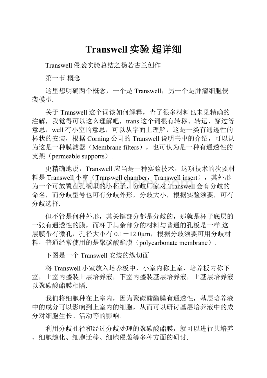 Transwell实验 超详细.docx_第1页