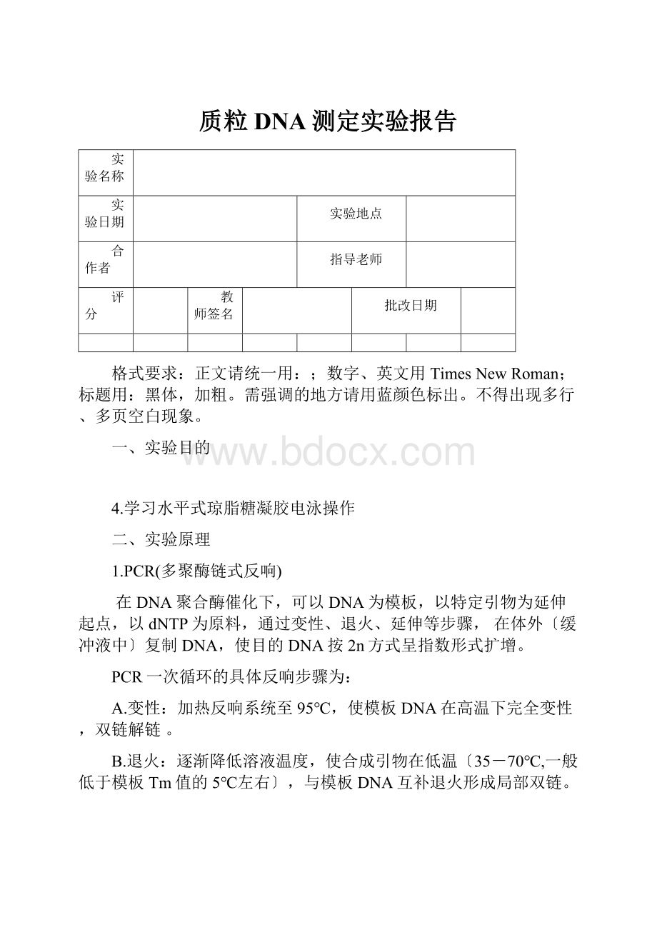 质粒DNA测定实验报告.docx_第1页