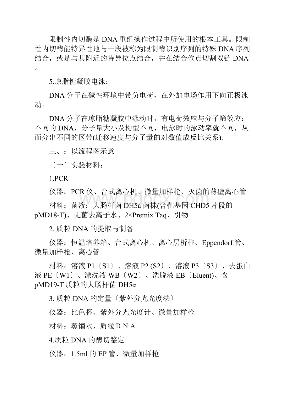 质粒DNA测定实验报告.docx_第3页