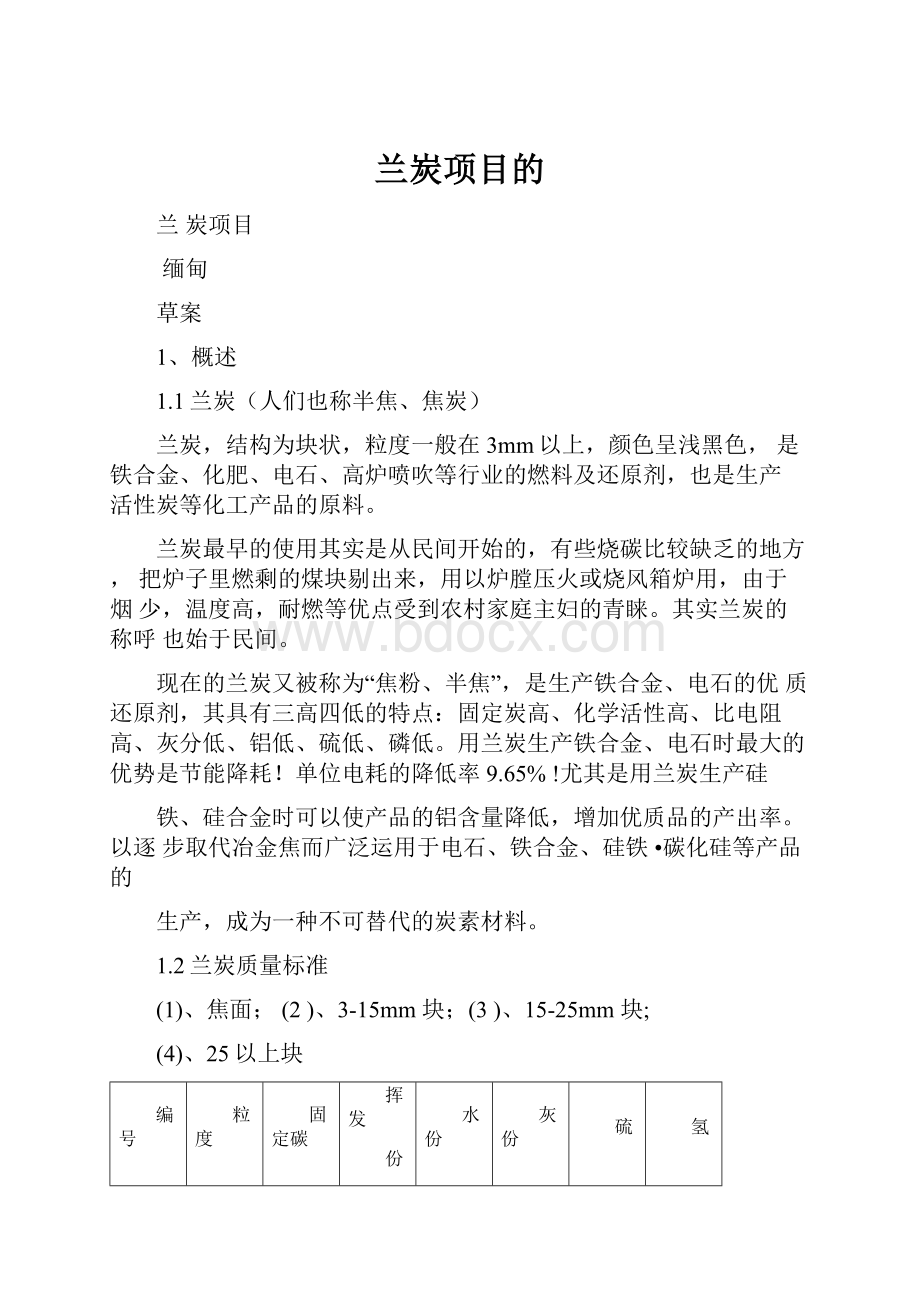 兰炭项目的.docx_第1页