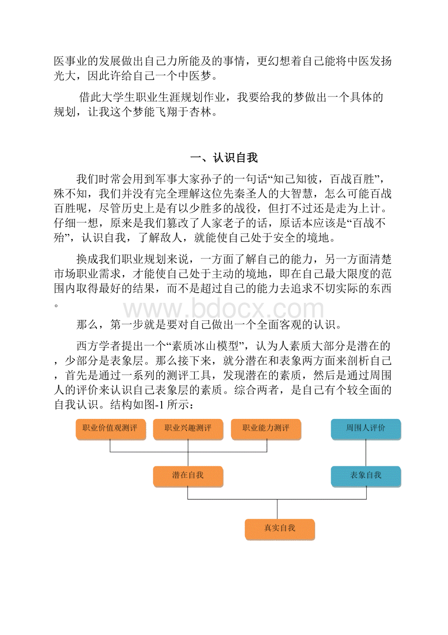 中医学生职业生涯规划.docx_第2页