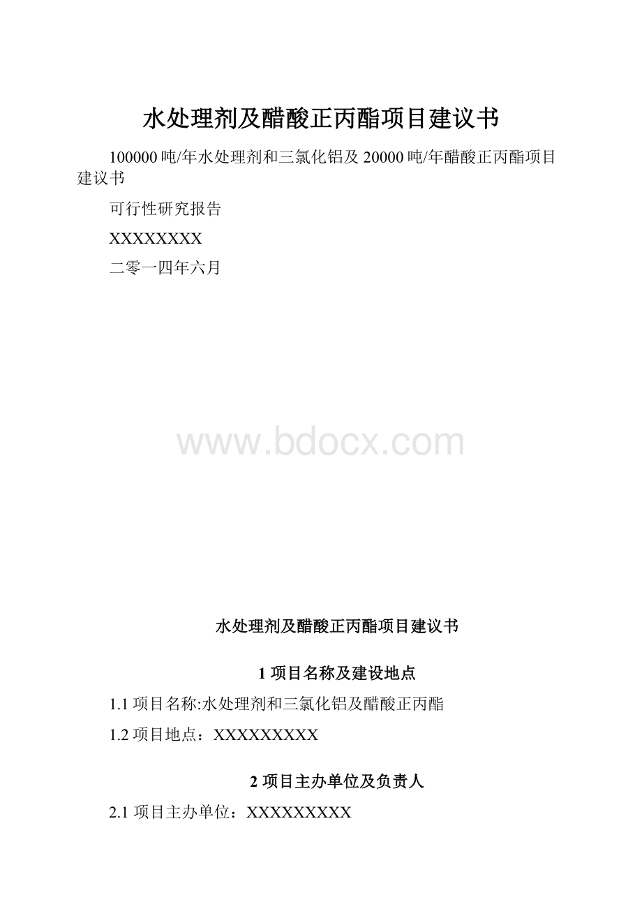 水处理剂及醋酸正丙酯项目建议书.docx