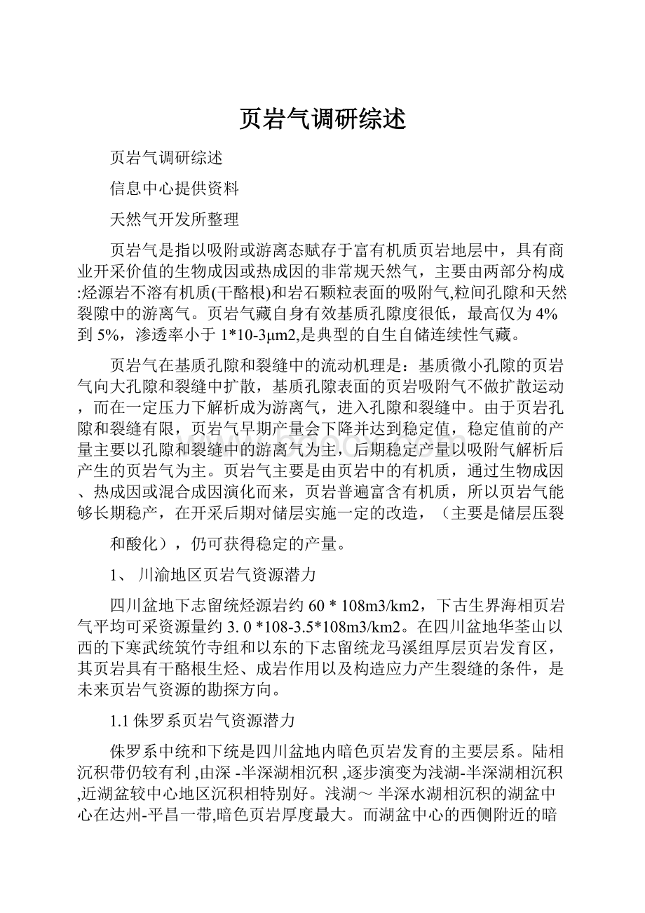 页岩气调研综述.docx_第1页