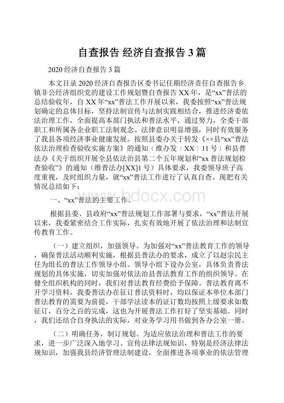 自查报告 经济自查报告3篇.docx