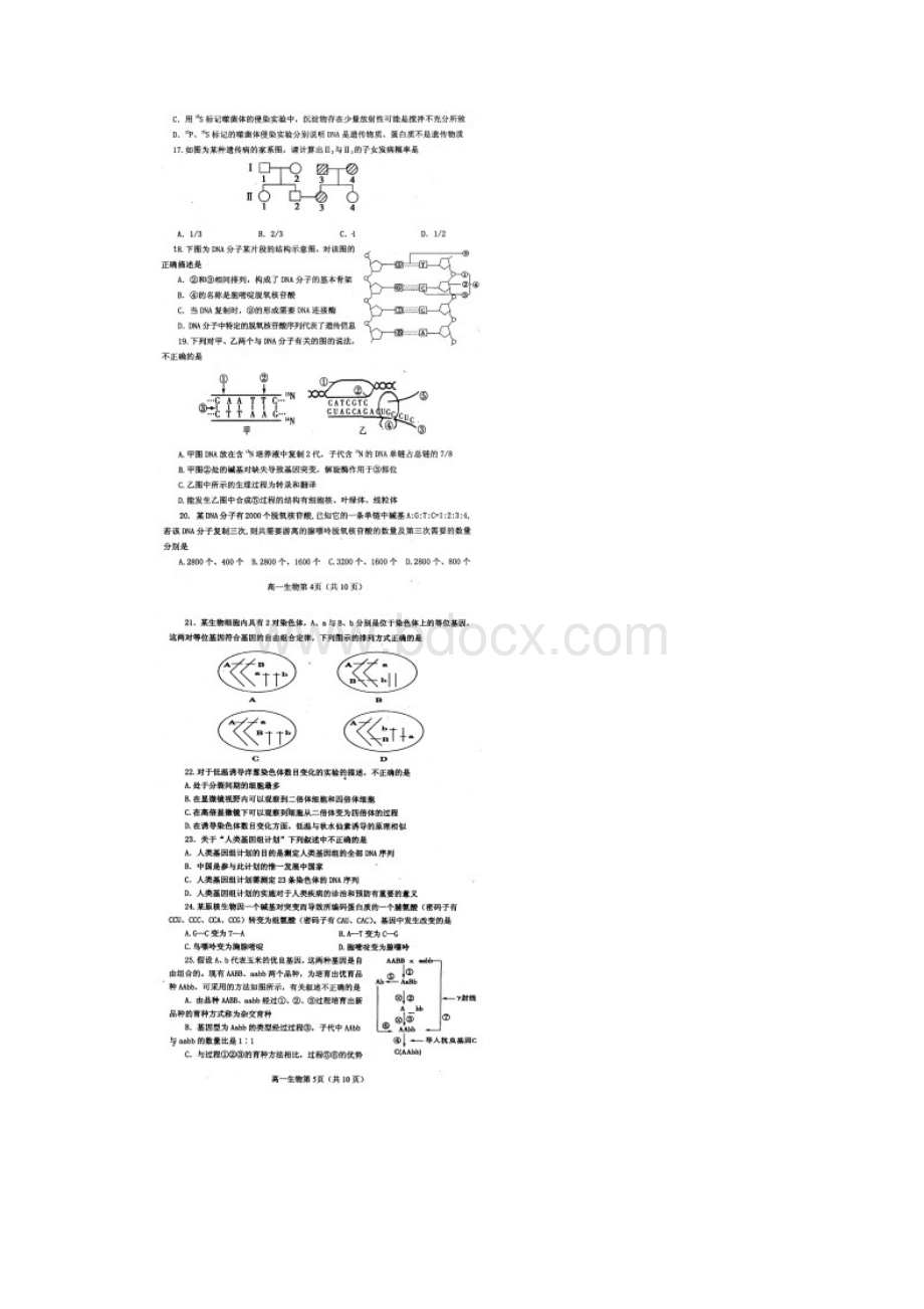 河南省南阳市学年高一生物下学期期末考试试题扫描版新人教版.docx_第3页