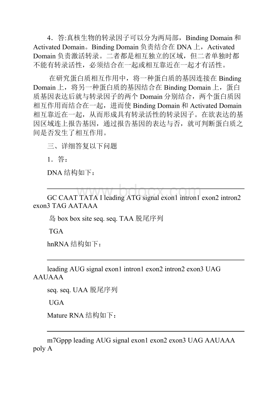 华中农业大学分子生物学课程考试答案汇总.docx_第3页