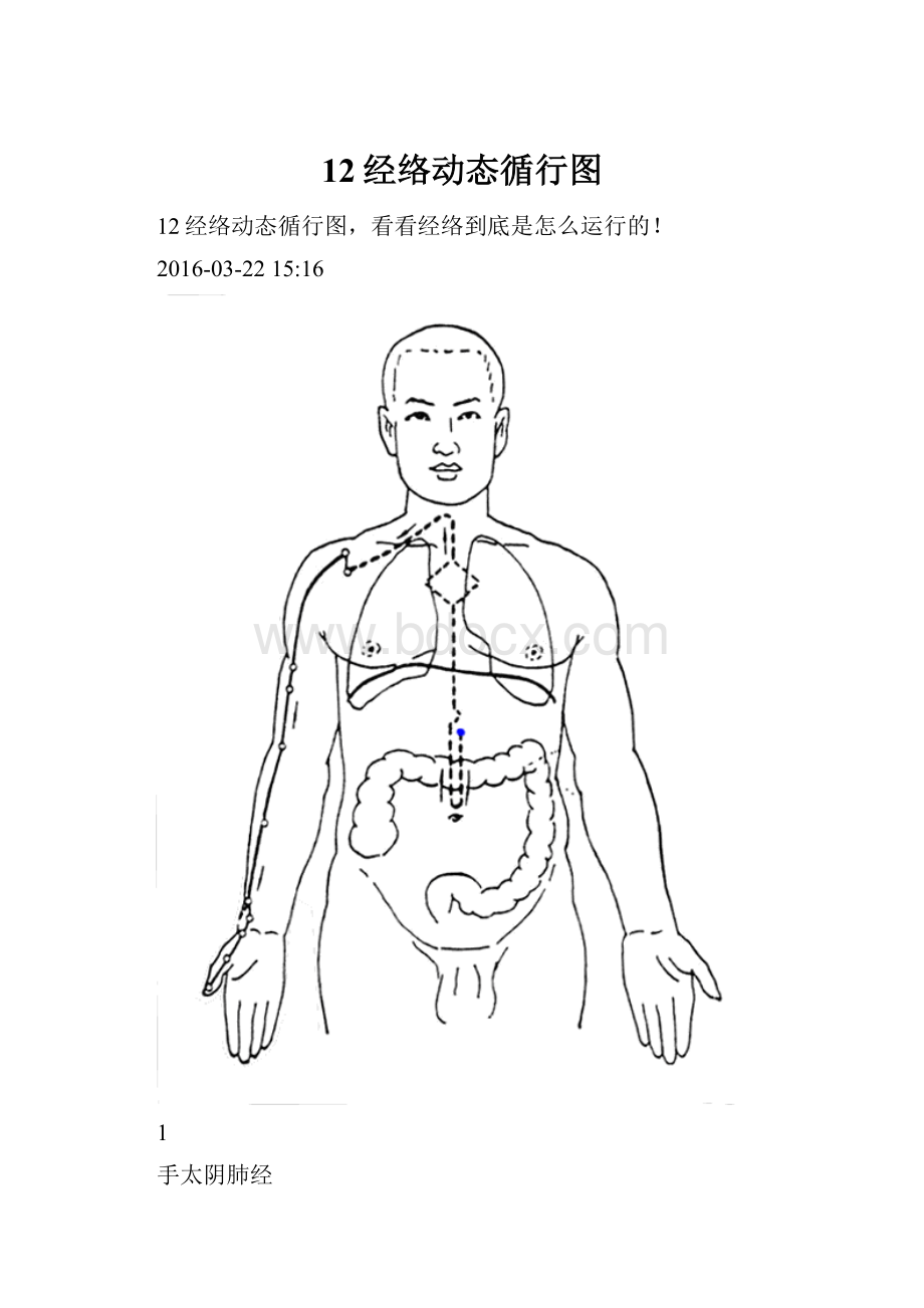 12经络动态循行图.docx_第1页