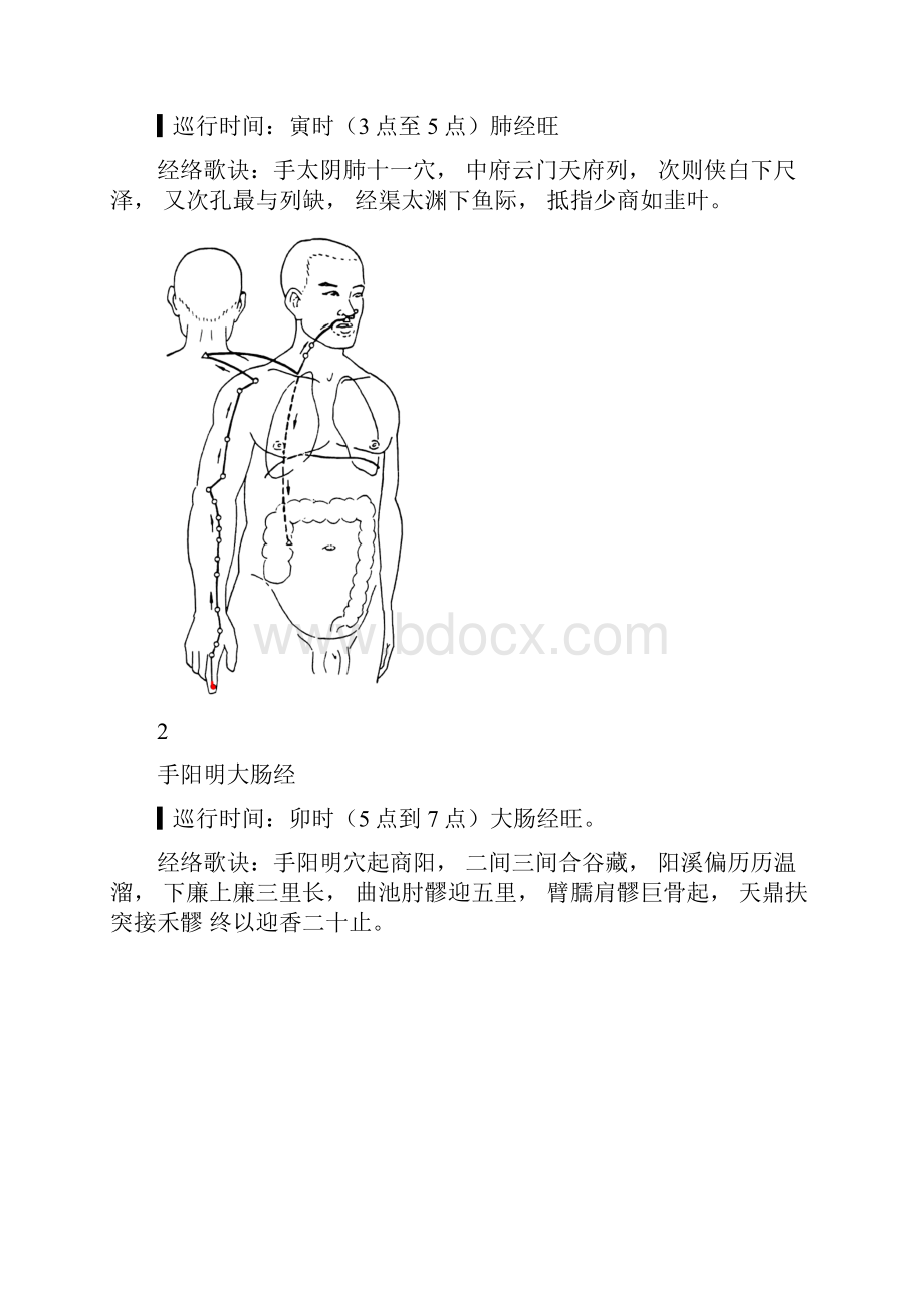 12经络动态循行图.docx_第2页